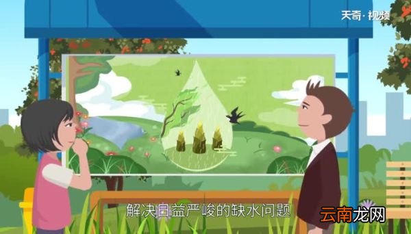 世界水日的由来 世界水日在哪一天