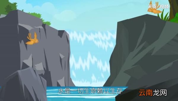 世界水日的由来 世界水日在哪一天
