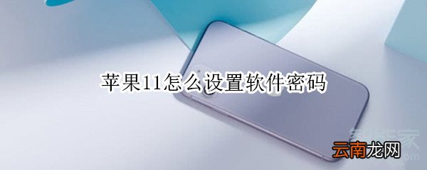 苹果11怎么设置软件密码