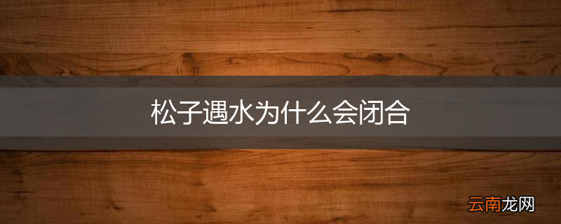 松子遇水为什么会闭合