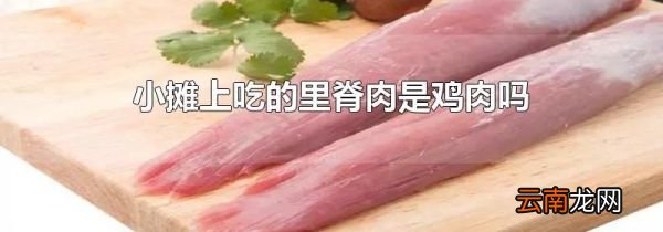 小摊上吃的里脊肉是鸡肉吗