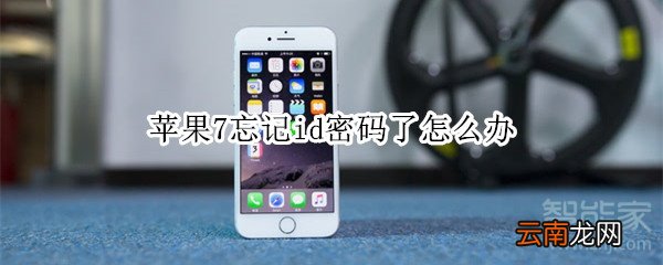 苹果7忘记id密码了怎么办