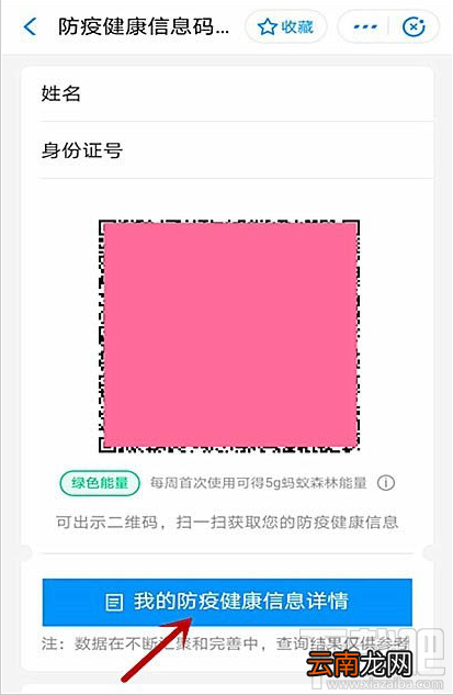支付宝全国健康码如何查看个人健康信息详情？