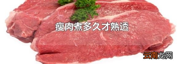 瘦肉煮多久才熟透