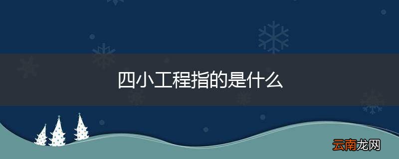 四小工程指的是什么