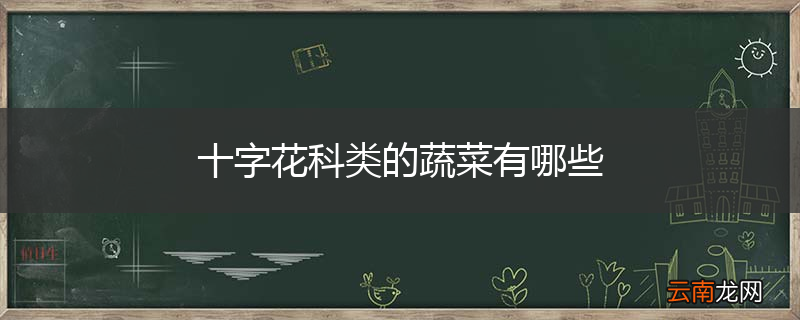 十字花科类的蔬菜有哪些