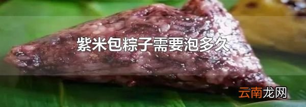 紫米包粽子需要泡多久