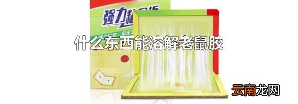 什么东西能溶解老鼠胶