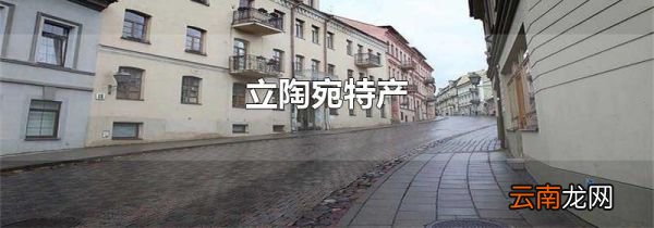 立陶宛特产