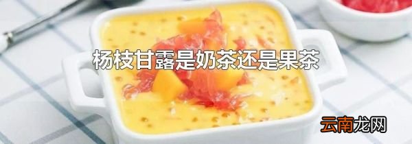 杨枝甘露是奶茶还是果茶