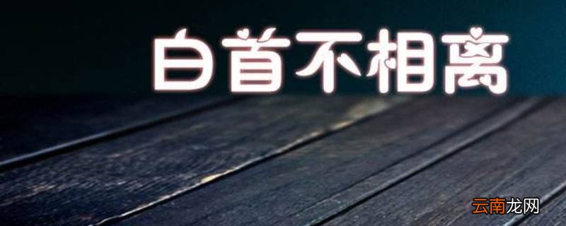 觅得良人归下句