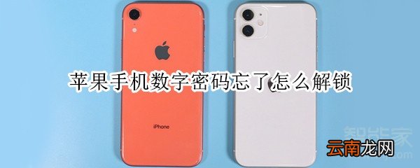 苹果手机数字密码忘了怎么解锁