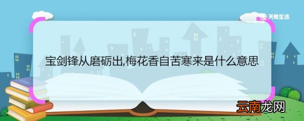 宝剑锋从磨砺出,梅花香自苦寒来是什么意思 宝剑锋从磨砺出,梅花香自苦寒来的意思