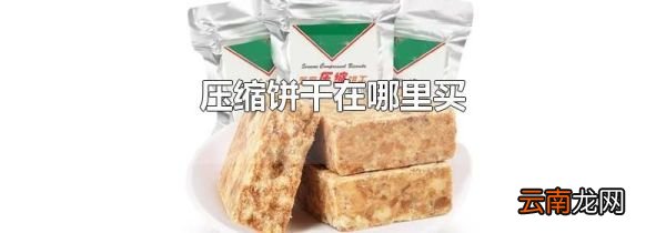 压缩饼干在哪里买