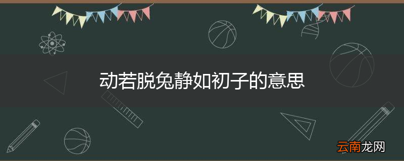 动若脱兔静如初子的意思