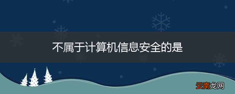 不属于计算机信息安全的是