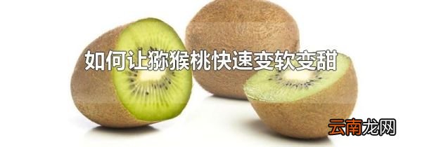如何让猕猴桃快速变软变甜
