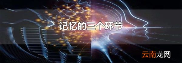 记忆的三个环节