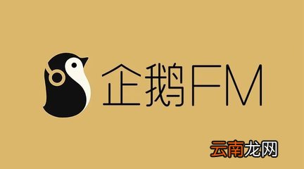 企鹅FM播放不了解决方法