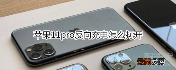 苹果11pro反向充电怎么打开
