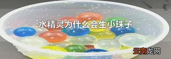 水精灵为什么会生小珠子