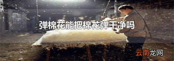 弹棉花能把棉花弹干净吗