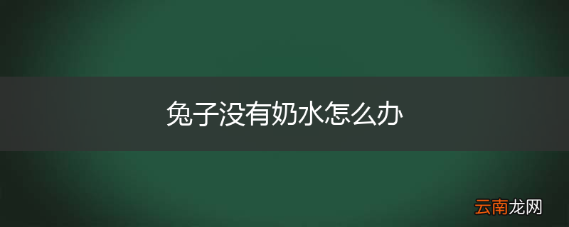 兔子没有奶水怎么办