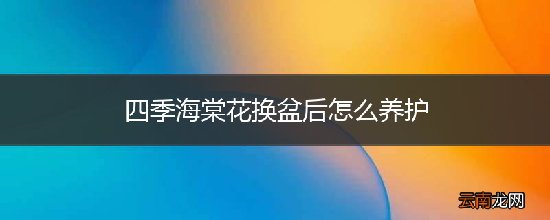 四季海棠花换盆后怎么养护
