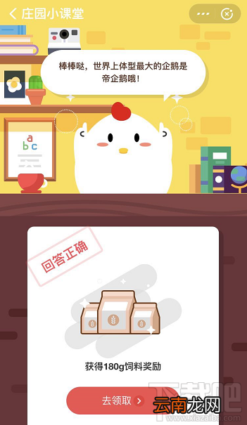 支付宝蚂蚁庄园3月27日答案 世界上体型最大的企鹅是什么