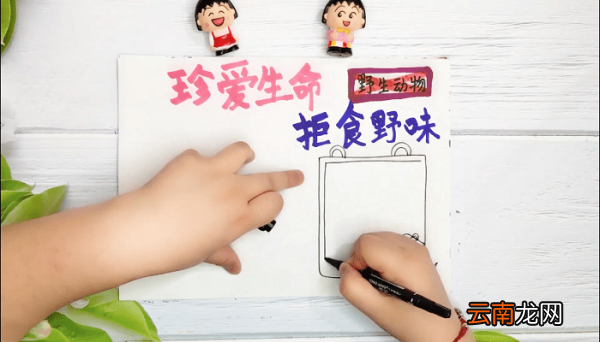 禁止吃野生动物手抄报 禁止吃野生动物画报