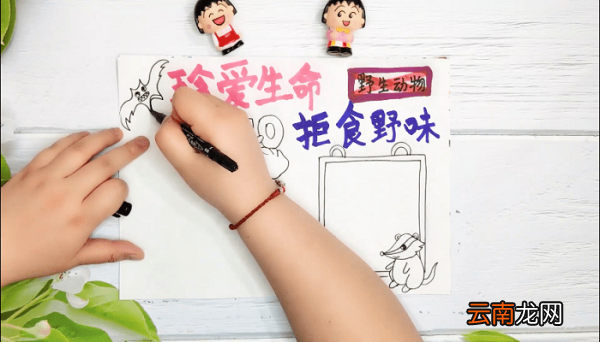 禁止吃野生动物手抄报 禁止吃野生动物画报