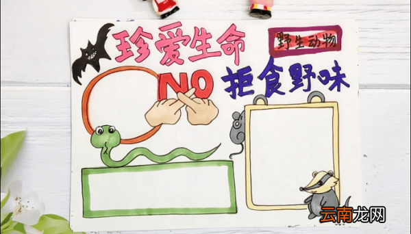 禁止吃野生动物手抄报 禁止吃野生动物画报