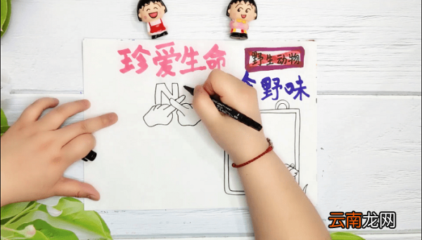 禁止吃野生动物手抄报 禁止吃野生动物画报