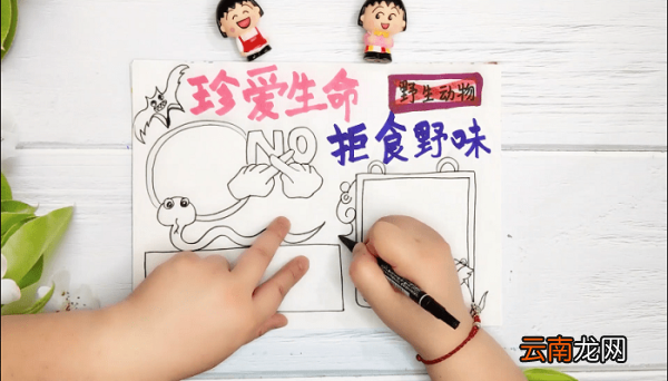 禁止吃野生动物手抄报 禁止吃野生动物画报