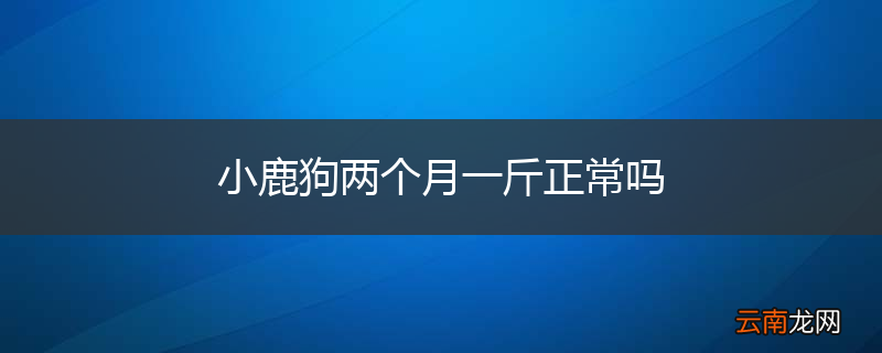 小鹿狗两个月一斤正常吗