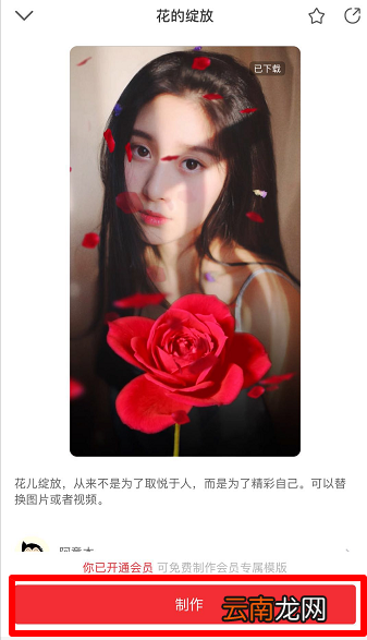 抖音玫瑰花开特效制作教程
