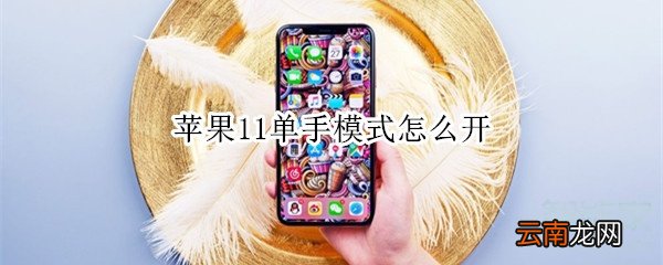 苹果11单手模式怎么开