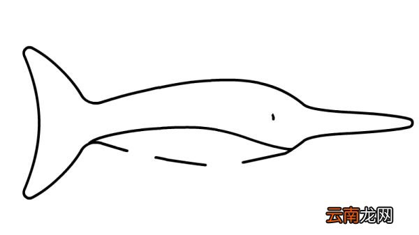 金枪鱼简笔画步骤金枪鱼简笔画画法