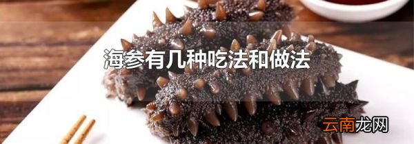 海参有几种吃法和做法