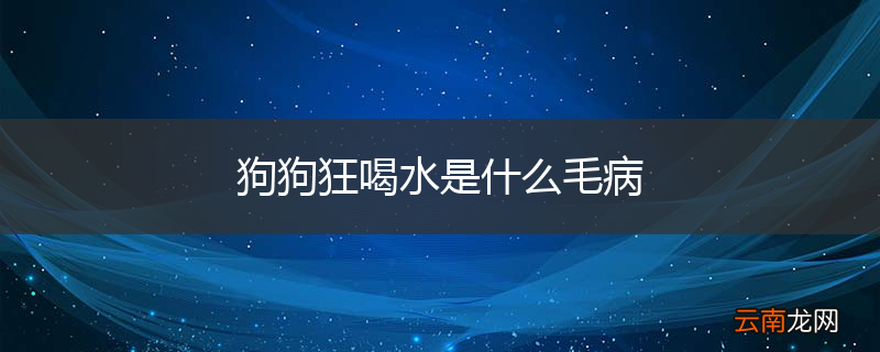 狗狗狂喝水是什么毛病
