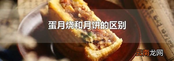蛋月烧和月饼的区别