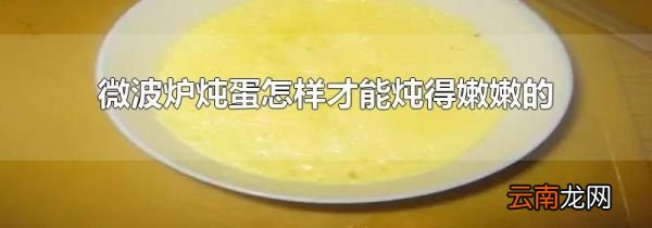微波炉炖蛋怎样才能炖得嫩嫩的