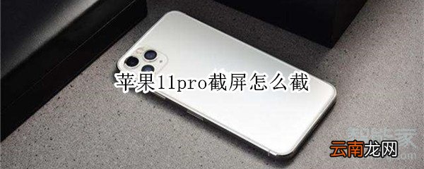 苹果11pro截屏怎么截