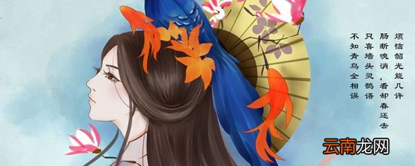 杨贵妃是哪里人 杨贵妃是哪里人氏