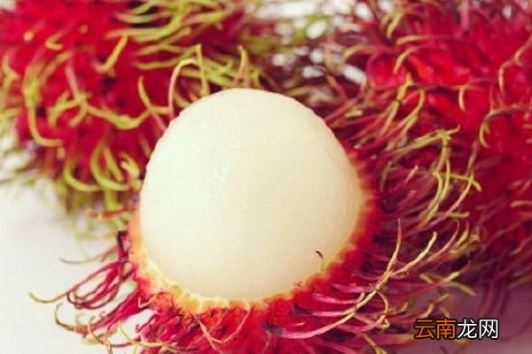 红毛丹的功效与作用 食用红毛丹有什么好处