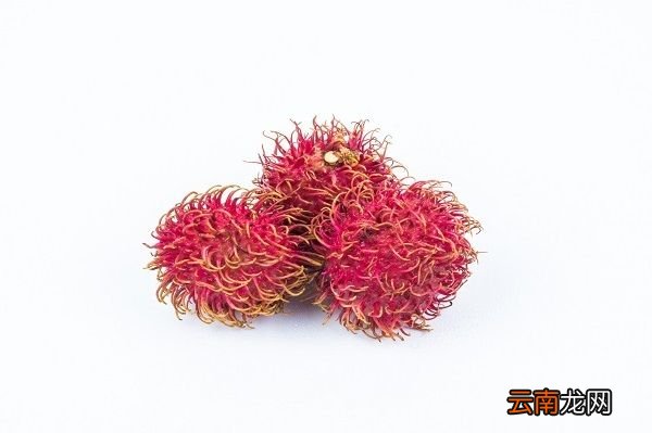 红毛丹的功效与作用 食用红毛丹有什么好处