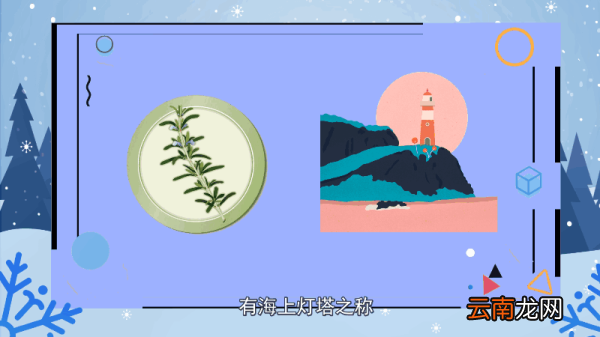 迷迭香的花语 迷迭香的花语是什么
