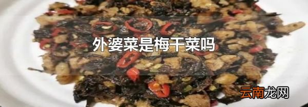 外婆菜是梅干菜吗