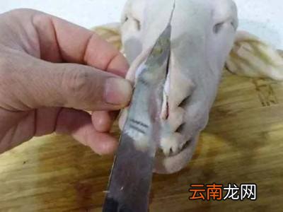 羊头怎样处理才干净