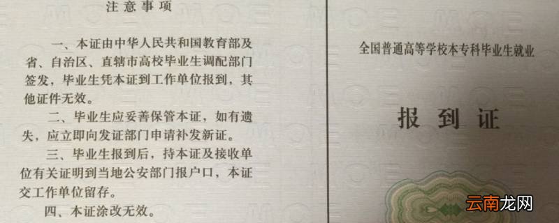 呼伦贝尔市海拉尔区人力资源和社会保障局可以取档案里面的报到证么